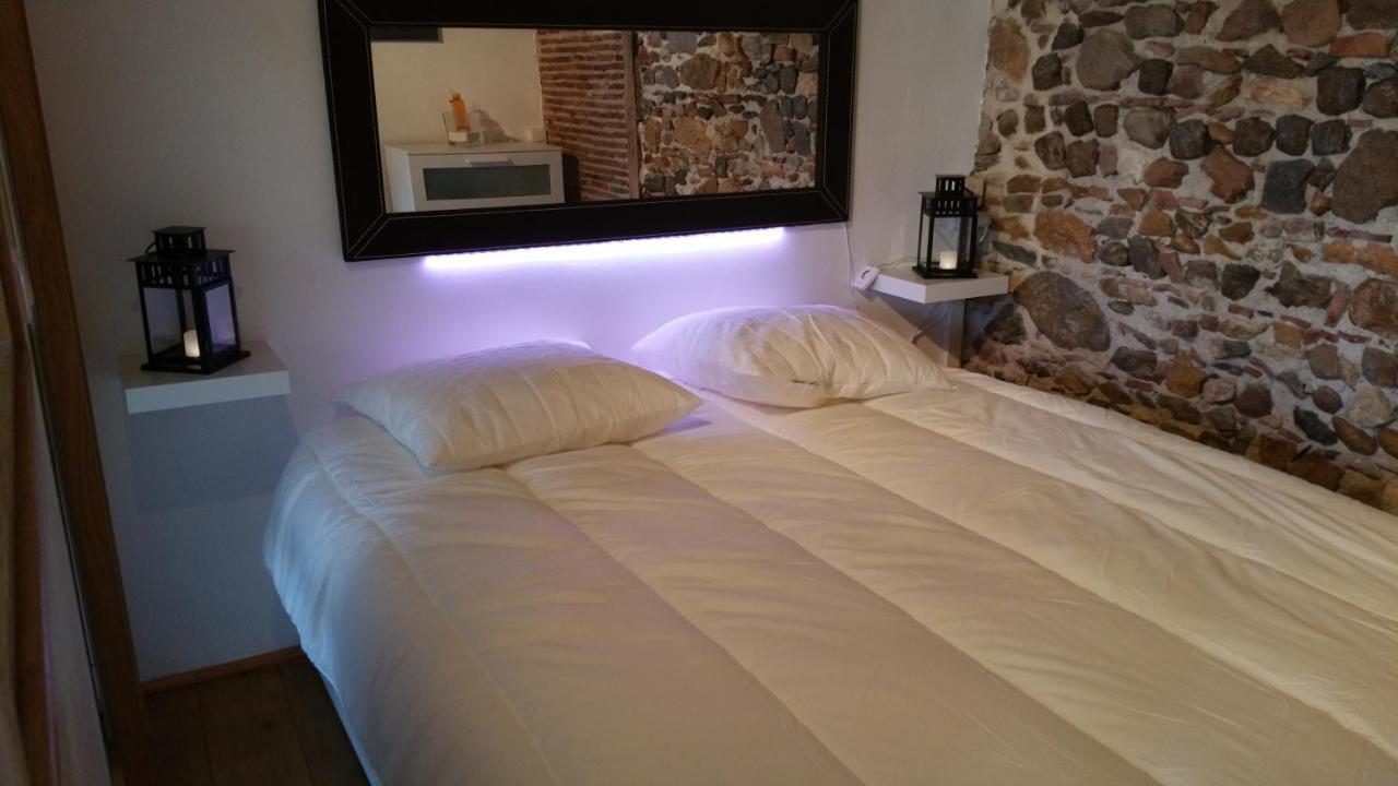 La Loge Du Vieux 2* Lione