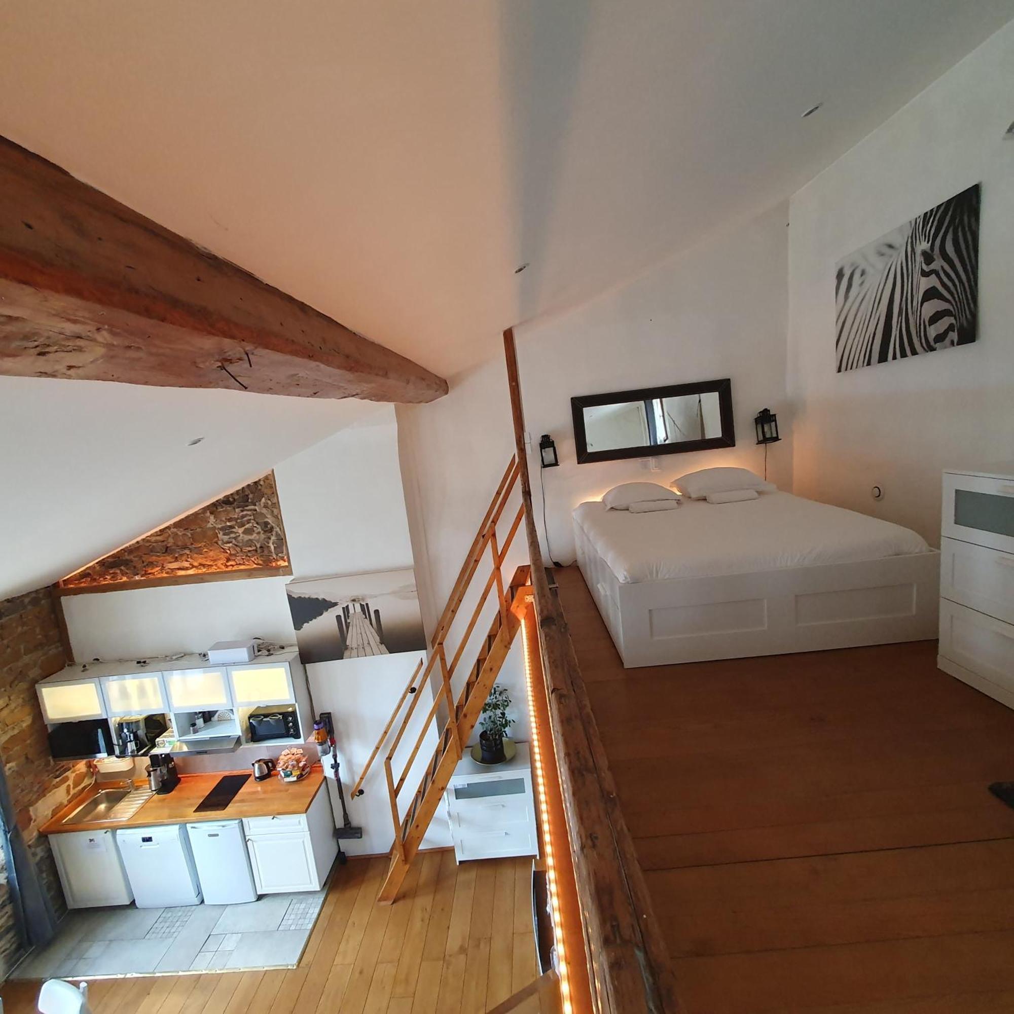 La Loge Du Vieux Lione